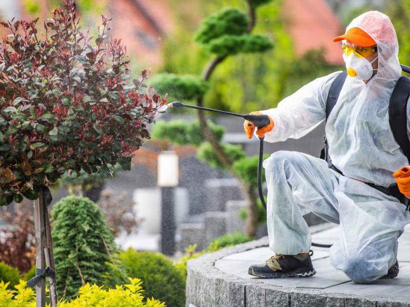 Alaçatı Haşere İlaçlama